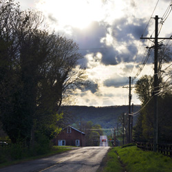 Countryside, by Ann Alexander Studios