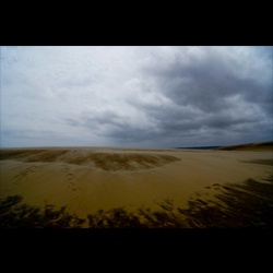 Soft Dune, by Ann Alexander Studios